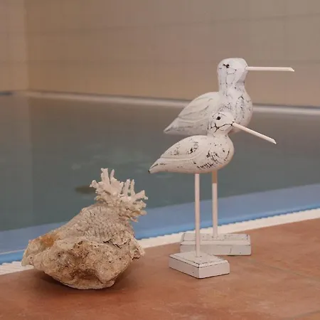 Seehotel 4* Στέρνμπεργκ